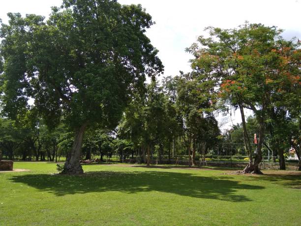 istock Sukhothai National Historical Park World listed Heritage 2 1595188466