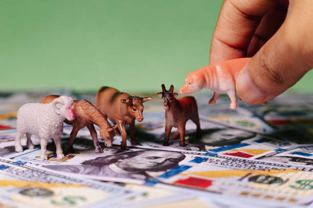 istock miniature animals and hand placing them on US dollars on green background, 1595210014