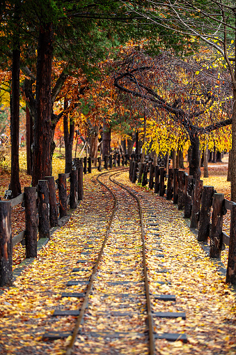 railroad tracks in autumn