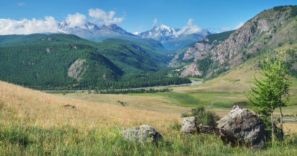 istock Picturesque mountain valley on a sunny morning 1595345612