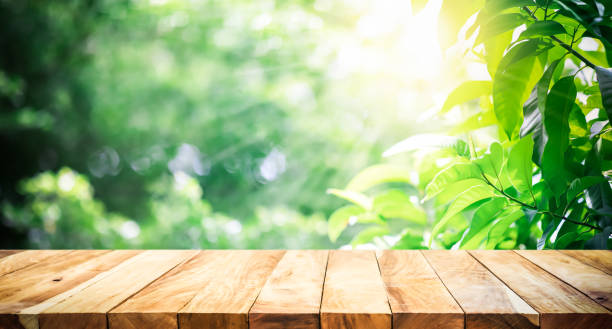 istock selective focus.real wood table top texture on blur leaf tree garden background.For create product display or design key visual layout 1595485153