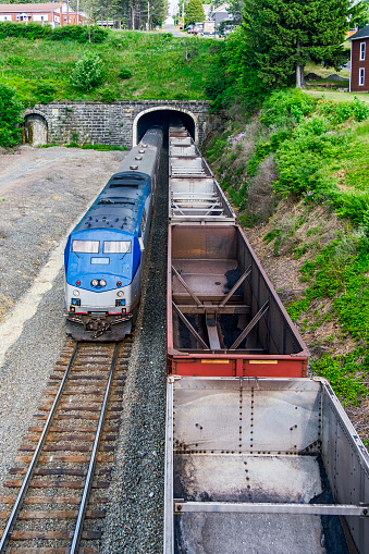 Express passenger train overtakes empty coal train exiting double track railway tunnel with arch portal in stone wall facade. Houses are visible above the tunnel and a small patch of mauve wildflowers is visible on the side of the railway cutting. One red railroad car features amongst grey cars. Tunnel engineering is essential to building sustainable and efficient railway infrastructure. Vertical format.
