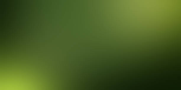 istock Spring light green blur background, glowing blurred design, summer background for design wallpaper 1595563826