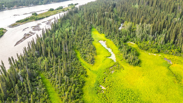 istock Drone flight over the wilderness in Interior Alaska 1595570356