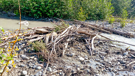 Driftwood background. Picture was taken in Interior Alaska.  Driftwood alongside The Copper River, famous for its Salmon.