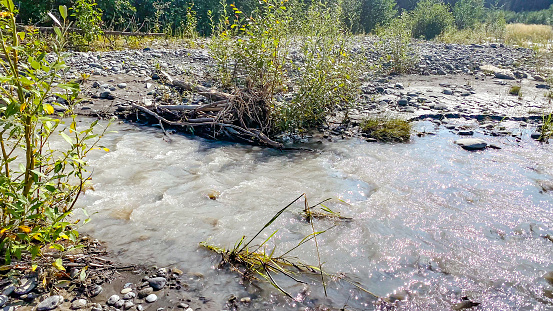 Picture of the Copper River shoreline in Interior Alaska