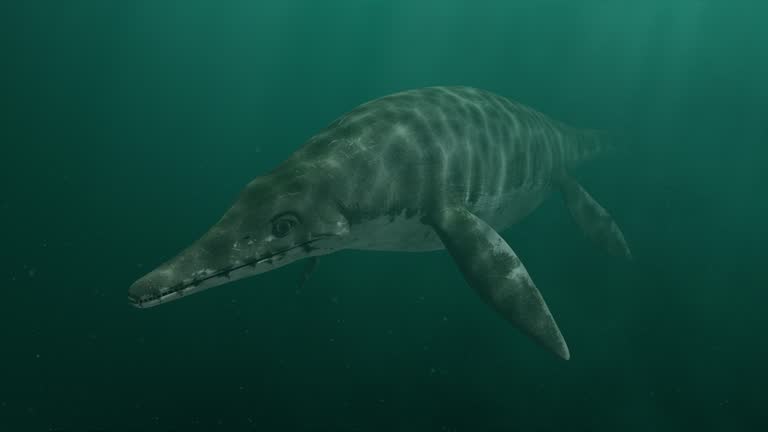 ichthyosaur 01