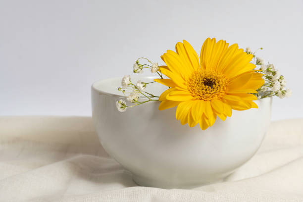 istock white porcelain bowl with a yellow flower 1595729868