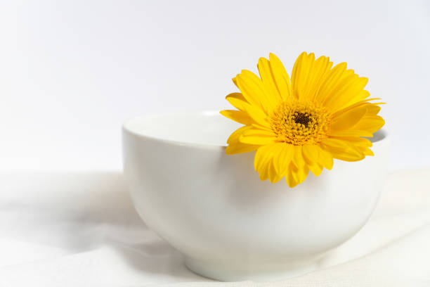 istock white porcelain bowl with a yellow flower 1595731264