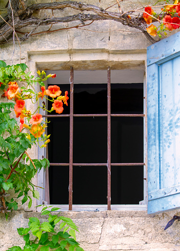 Blue shutter and flowers