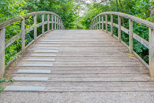 Arched platform of wooden planks an arch bridge, low angle view, abundant foliage of green leafy trees in misty background, sunny spring day in nature reserve at Echternach, Luxembourg