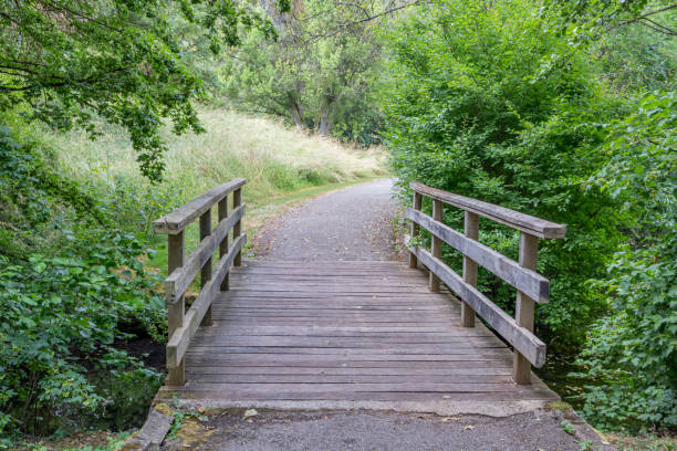 istock Small bridge over a stream with a pedestrian path leading into nature reserve 1595806874