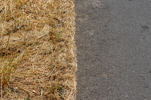 Close-up top view of yellowish dry wild grass next to an asphalt rural road, summer heatwave hitting Europe, effect on environment from climate change