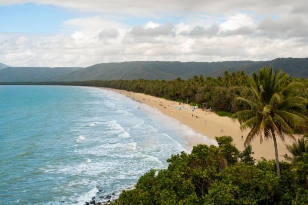 istock Tropical beach with palm trees 1595819517