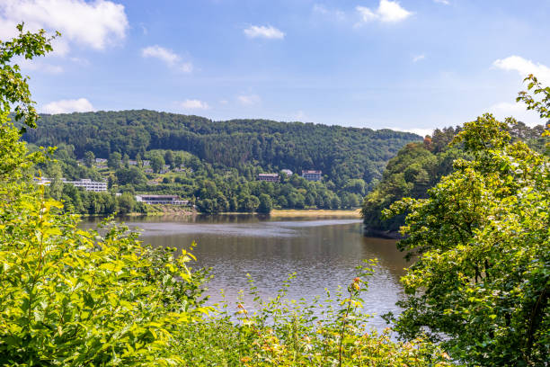 stausee bitburg 저수지 호수의 푸른 단풍을 통해 볼 수 있습니다. - ecological reserve tree reflection land feature 뉴스 사진 이미지