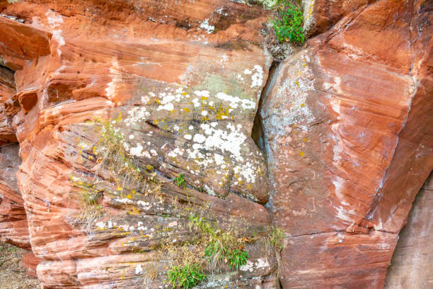 Close-up of sandstone rock formation, wall with irregular texture, white spots, mold, wild grass between grooves and linear erosions caused by passage of time, sunny day in Bitburg, Germany