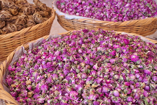 Rose petals prepared for the production of rose oil