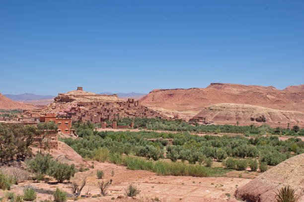 istock Tourist complex in the desert 1595832893
