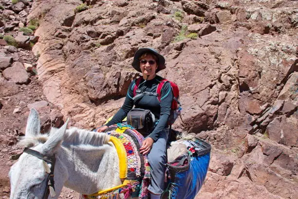 Photo of Riding mule in Atlas mountain