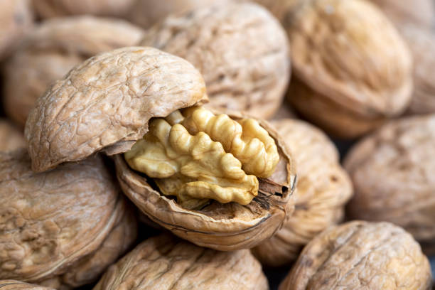 istock Ripe and raw whole big walnut kernel with thin shell on wooden rustic backdrop. Healthy nut food for brain. Fresh walnuts background concept 1595875121