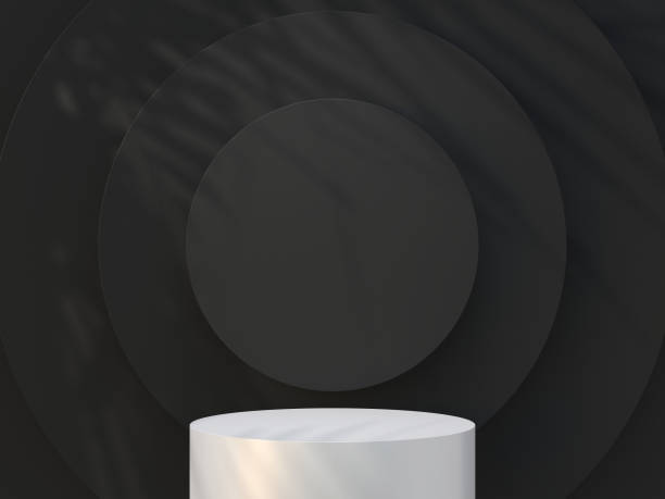 istock White podium with shadows from the palm leaves on the wall. 3d render. 1595881047