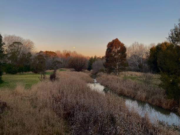 istock Evening view of wetlands. 1595893800