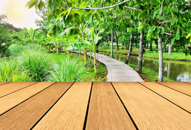 istock wooden table with Garden background 1595910599