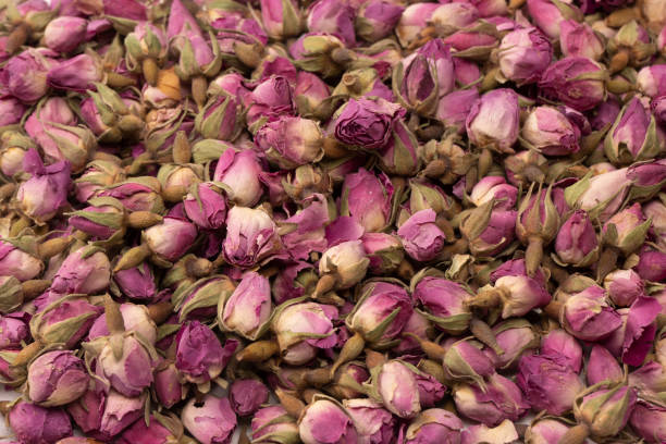 istock Dry tea roses isolated on white background. 1595914397