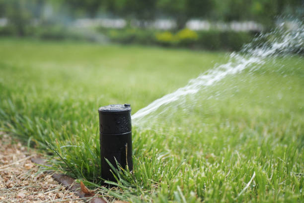 istock automatic watering grass, garden lawn sprinkler in action. 1595916535