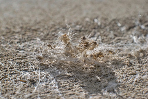 Detailed photography of roof covering material with asbestos fibres. Health harmful and hazards effects. Prolonged inhalation of microscopical fibers causes fatal illnesses including lung cancer.