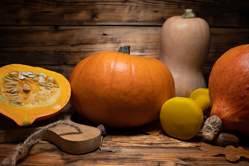 Colorful pumpkin and squash on white background