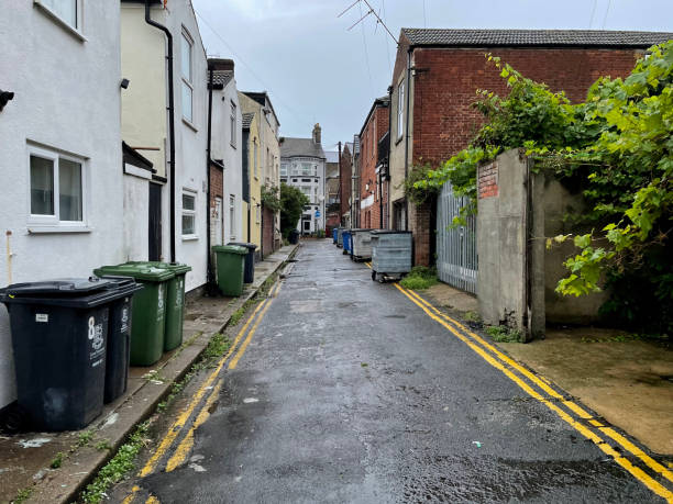istock Alley with wheelie bins 1595960915