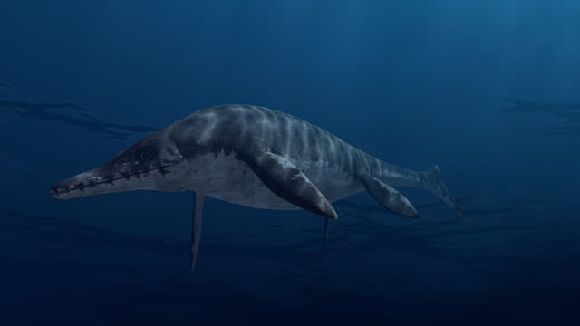 ichthyosaur 02
