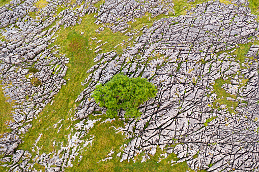 Aerial birds eye view of geological rock formations known as Limestone pavements in the Yorkshire Dales.