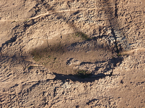 Fossilized dinosaur footprint