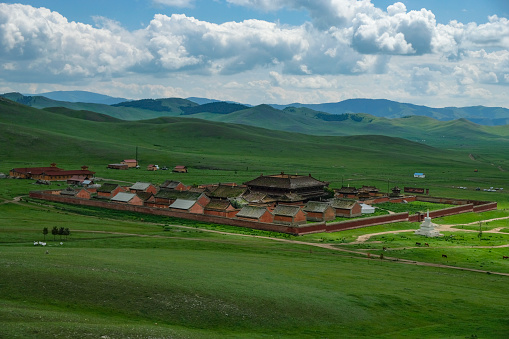 Herds on the beautiful Tibetan  plateau plain.