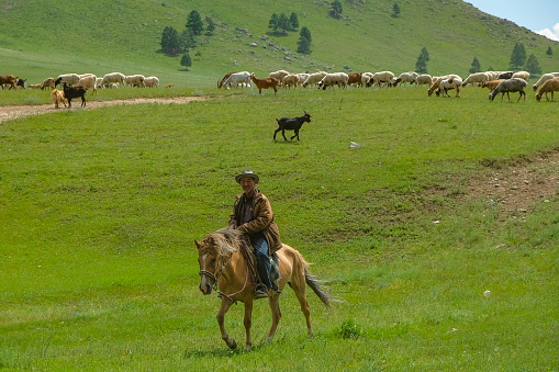 Ranchers on horseback in Wyoming direct horses to different parts of the ranch, for feeding.