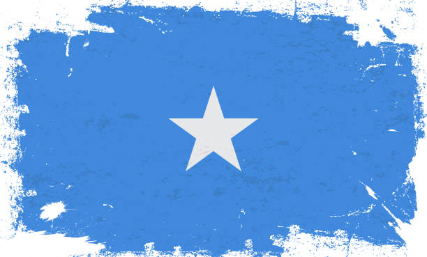 флаг сомали с кистью, текстурированная краска, изолированная на белом фоне - somalia flag isolated on white grunge stock illustrations