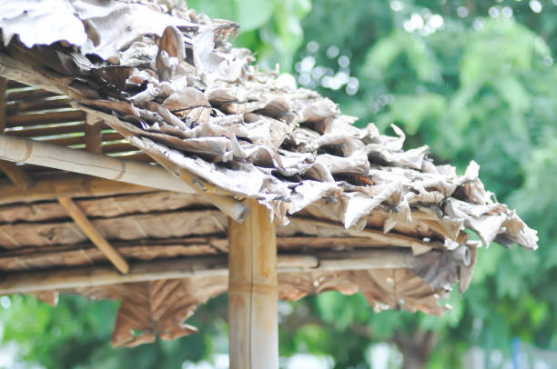 hut or bamboo hut, bamboo house