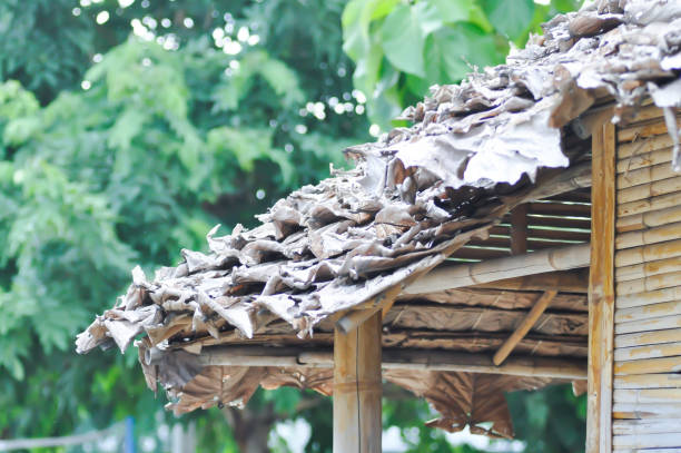istock hut or bamboo hut, bamboo house 1596093227
