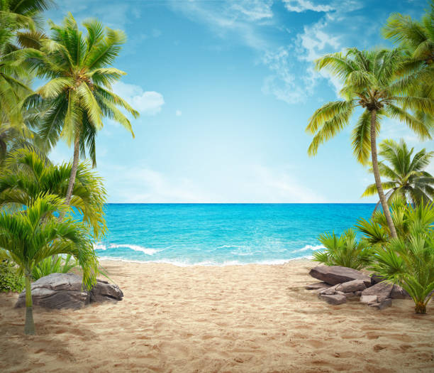 istock abstract view on beach. palm trees on side. 3d illustration of summer holiday concept. 1596101406