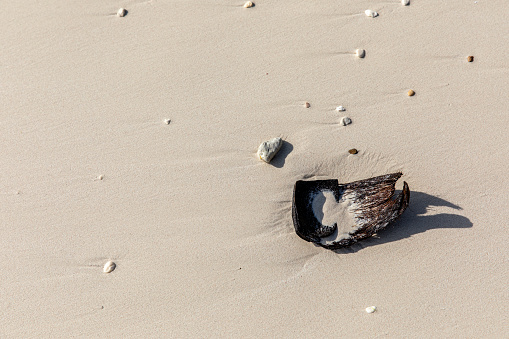old coconut shell on white sand, White Sand Beach, Boracay, Philippines.