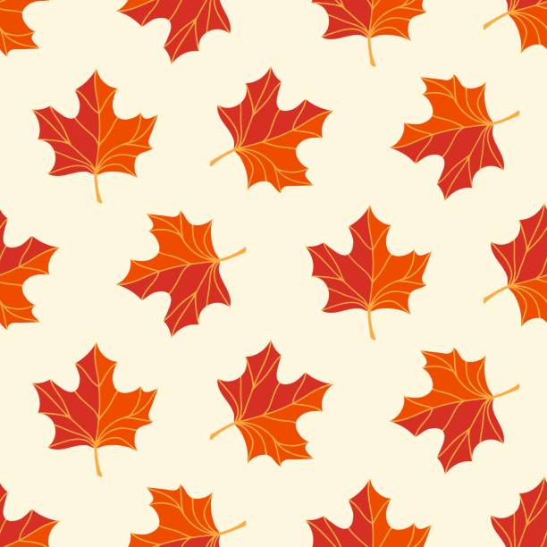 ilustrações, clipart, desenhos animados e ícones de padrão sem costura de folhas de bordo rabiscas no fundo isolado - maple tree autumn textured leaf