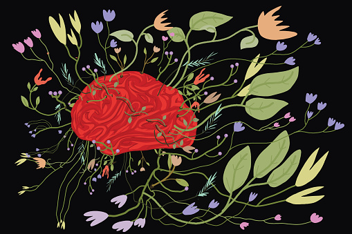 Illustration of a brain with flowers growing out of it showing the mental state he is