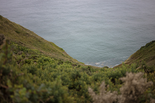 looking down a green cliffside to the breaking sea waves
