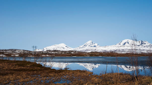 istock Northern Norway landscape during springtime 1596174086