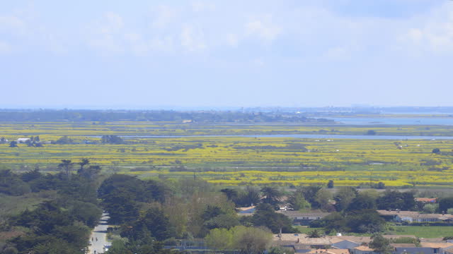 Salt marshes of the natural reserve of Lilleau des Niges on the Ile de Ré island