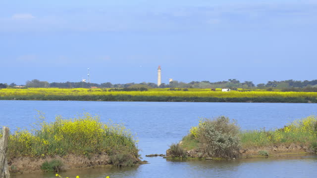 Salt pond of the natural reserve of Lilleau des Niges and Phare des Baleines lighthouse on the Ile de Ré island