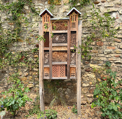 Insect hotel, Insect shelter