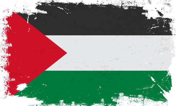 bendera palestina dengan cat kuas bertekstur terisolasi pada latar belakang putih - palestinian culture ilustrasi stok